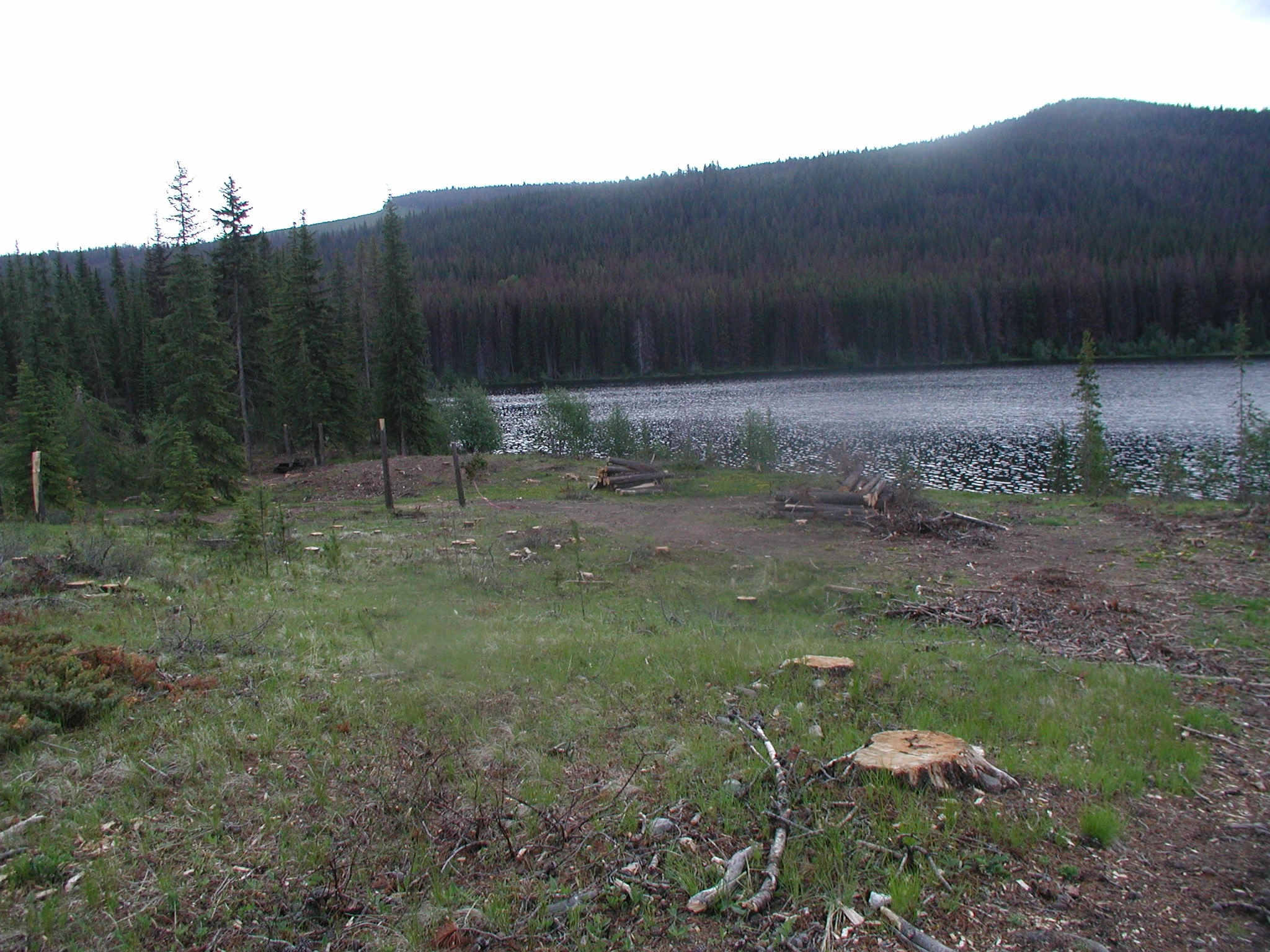 Photo: Recreation Sites and Trails BC. © Province of British Columbia, licensed under the Open Government Licence – British Columbia. Sussex Lake, photo 2
