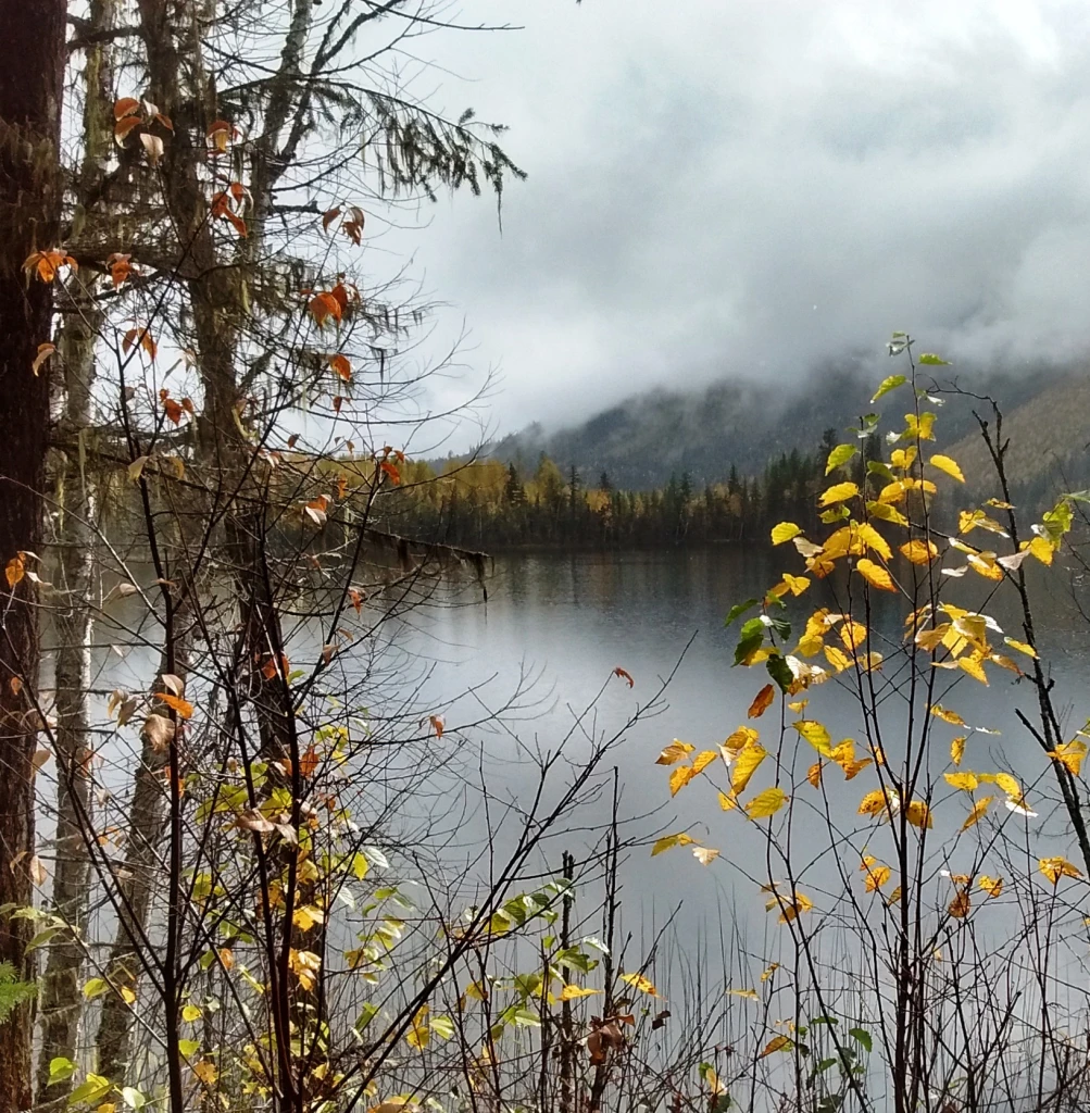 Photo: Recreation Sites and Trails BC. © Province of British Columbia, licensed under the Open Government Licence – British Columbia. Stukemapten Lake