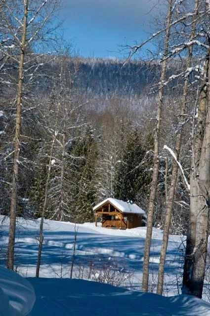 Photo: Recreation Sites and Trails BC. © Province of British Columbia, licensed under the Open Government Licence – British Columbia. Blackjack Cross Country, photo 2