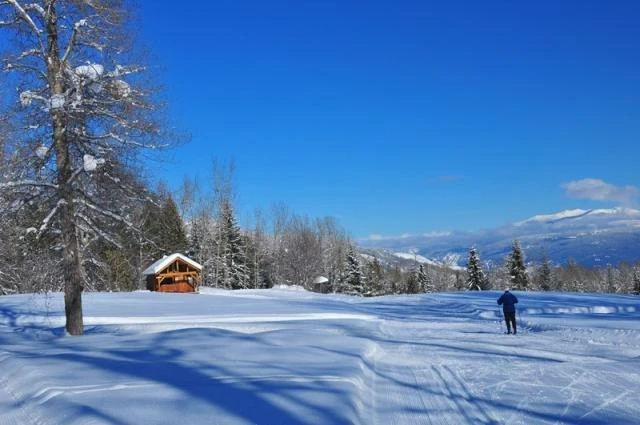 Photo: Recreation Sites and Trails BC. © Province of British Columbia, licensed under the Open Government Licence – British Columbia. Blackjack Cross Country, photo 4