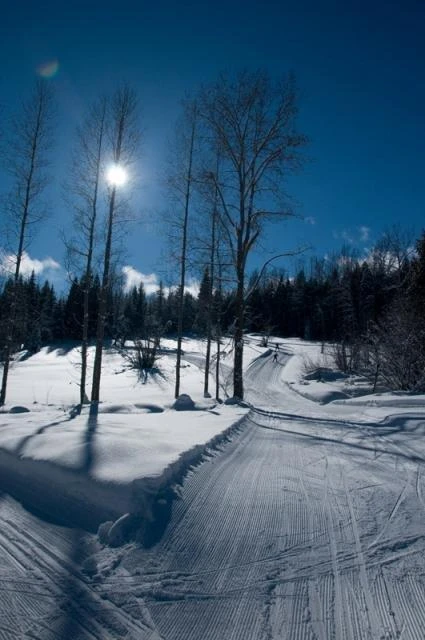 Photo: Recreation Sites and Trails BC. © Province of British Columbia, licensed under the Open Government Licence – British Columbia. Blackjack Cross Country, photo 5