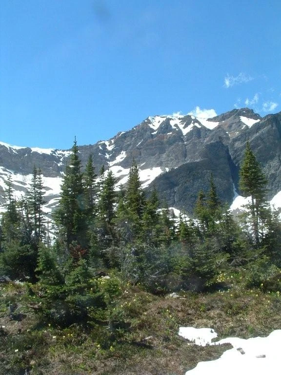 Photo: Recreation Sites and Trails BC. © Province of British Columbia, licensed under the Open Government Licence – British Columbia. Gorman Lake and Trail, photo 6