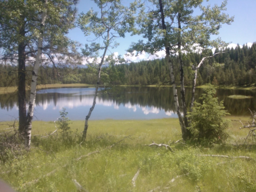 Photo: Recreation Sites and Trails BC. © Province of British Columbia, licensed under the Open Government Licence – British Columbia. Hahas Lake, photo 10