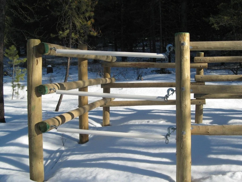 Photo: Recreation Sites and Trails BC. © Province of British Columbia, licensed under the Open Government Licence – British Columbia. Hahas Lake, photo 9
