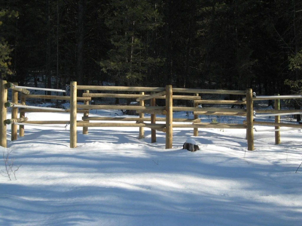 Photo: Recreation Sites and Trails BC. © Province of British Columbia, licensed under the Open Government Licence – British Columbia. Hahas Lake, photo 8