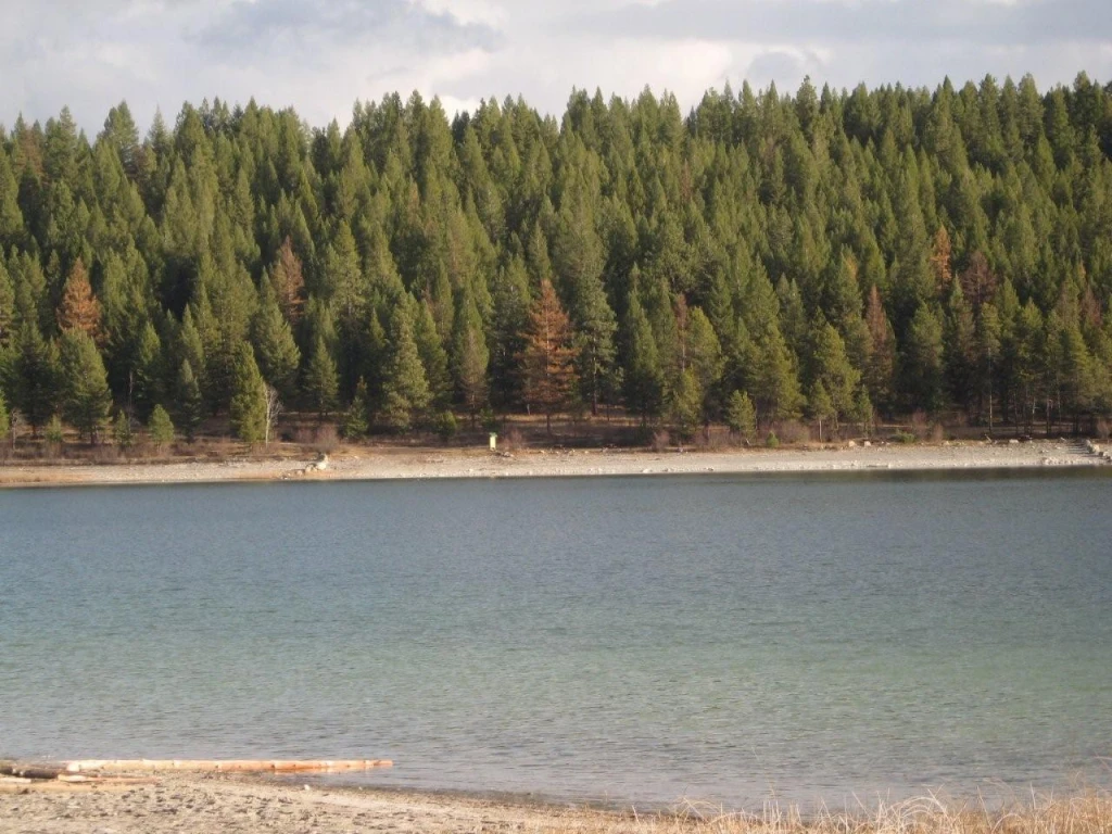 Photo: Recreation Sites and Trails BC. © Province of British Columbia, licensed under the Open Government Licence – British Columbia. Hahas Lake, photo 4