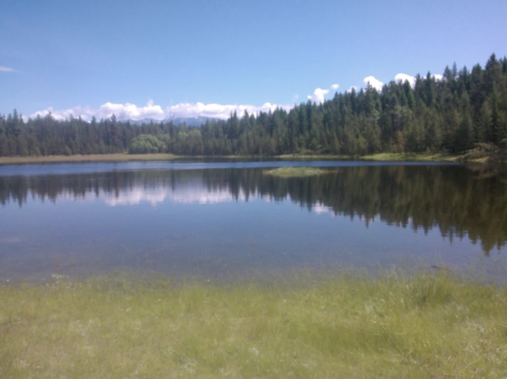 Photo: Recreation Sites and Trails BC. © Province of British Columbia, licensed under the Open Government Licence – British Columbia. Hahas Lake, photo 11