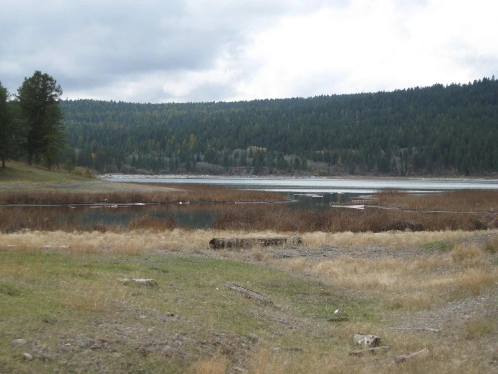 Photo: Recreation Sites and Trails BC. © Province of British Columbia, licensed under the Open Government Licence – British Columbia. Hahas Lake, photo 3
