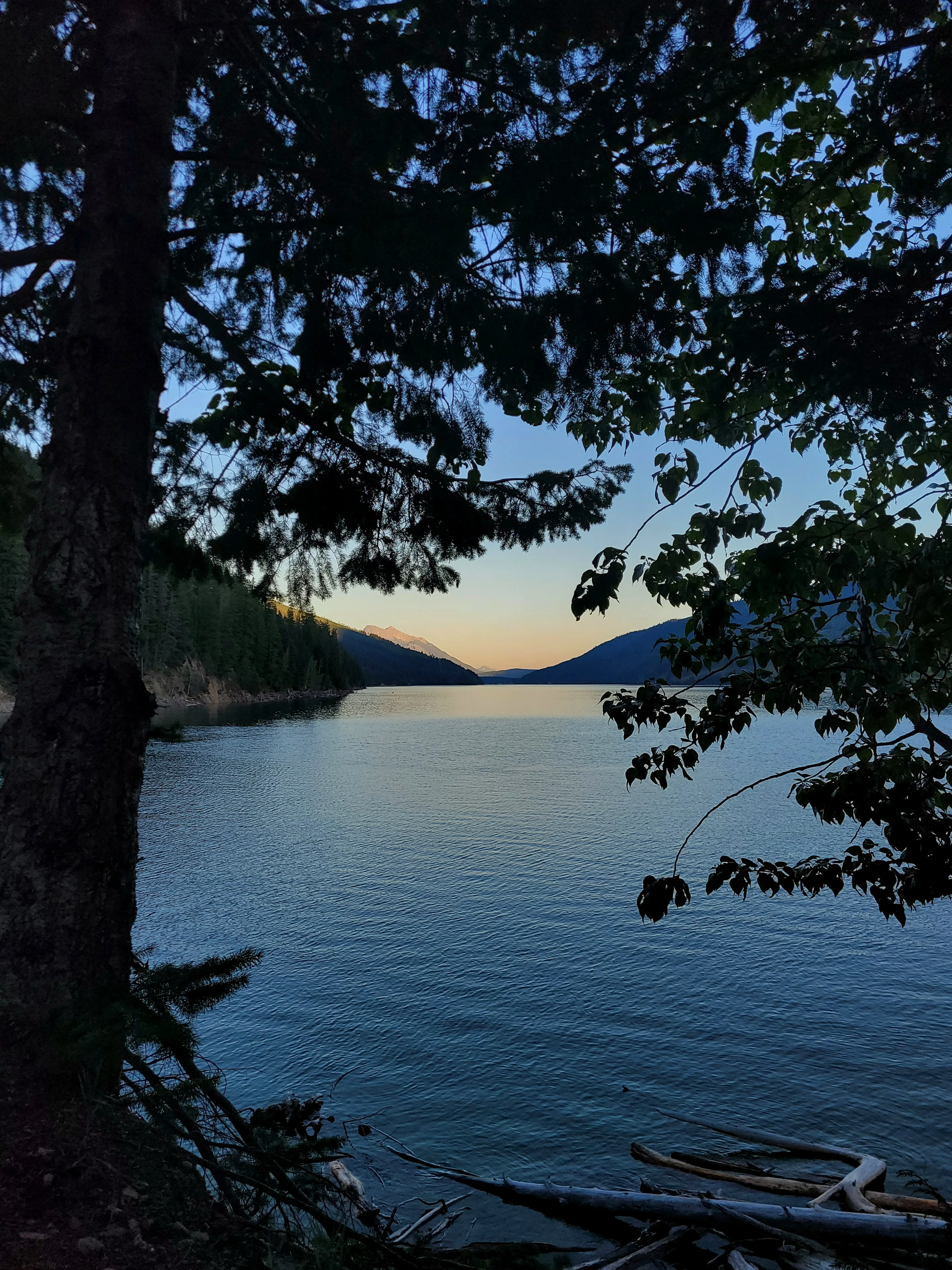 Photo: Recreation Sites and Trails BC. © Province of British Columbia, licensed under the Open Government Licence – British Columbia. Caribou Creek, photo 5