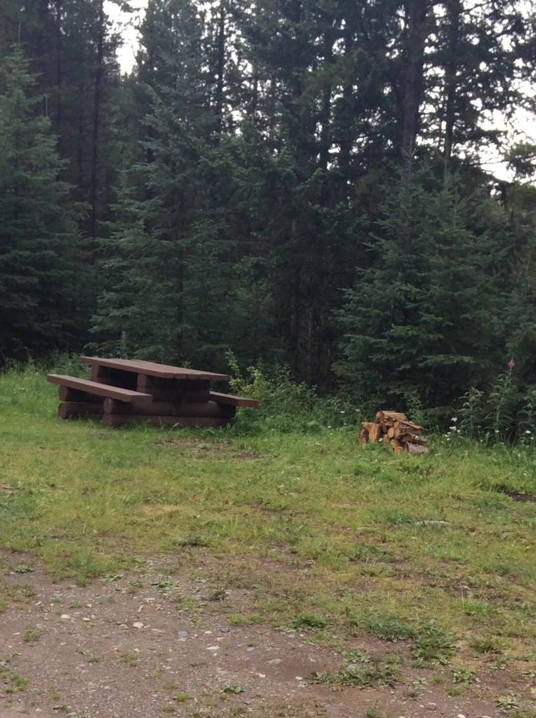 Photo: Recreation Sites and Trails BC. © Province of British Columbia, licensed under the Open Government Licence – British Columbia. Forsyth Creek, photo 2