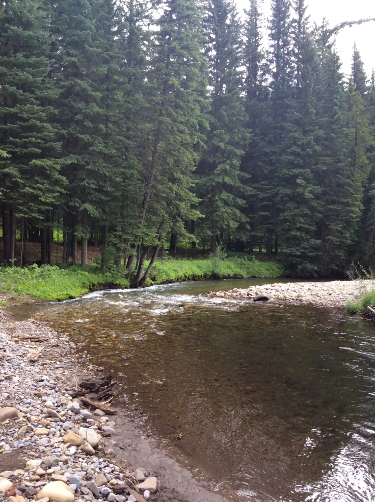 Photo: Recreation Sites and Trails BC. © Province of British Columbia, licensed under the Open Government Licence – British Columbia. Forsyth Creek, photo 3
