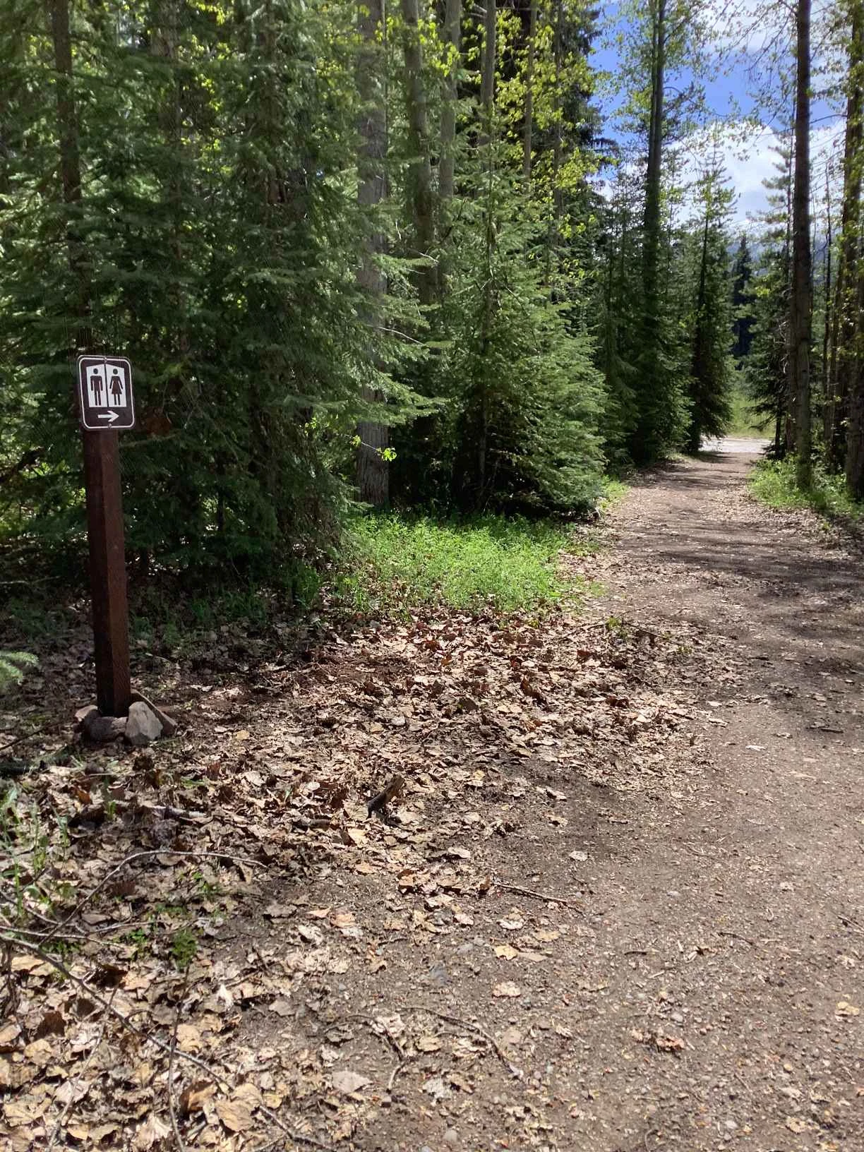 Photo: Recreation Sites and Trails BC. © Province of British Columbia, licensed under the Open Government Licence – British Columbia. Jonas Creek, photo 4