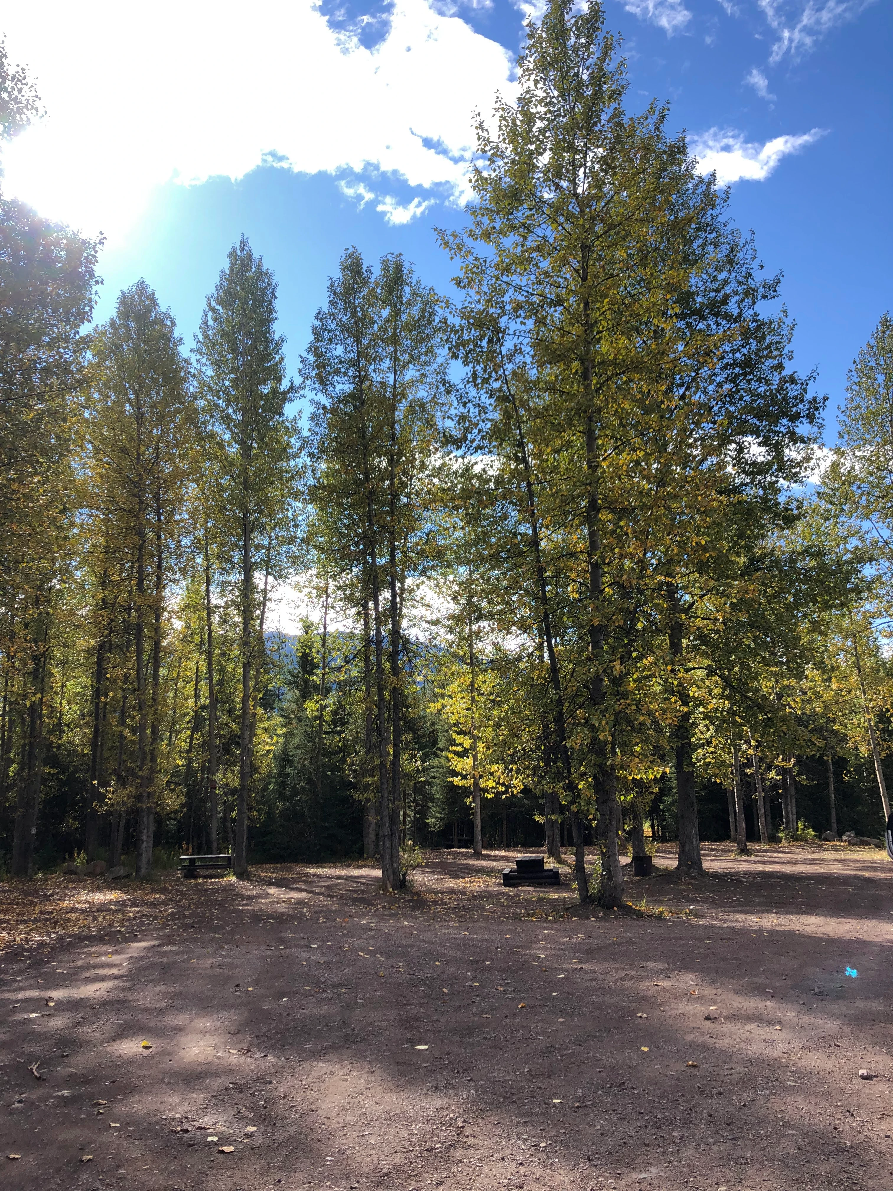 Photo: Recreation Sites and Trails BC. © Province of British Columbia, licensed under the Open Government Licence – British Columbia. Jonas Creek