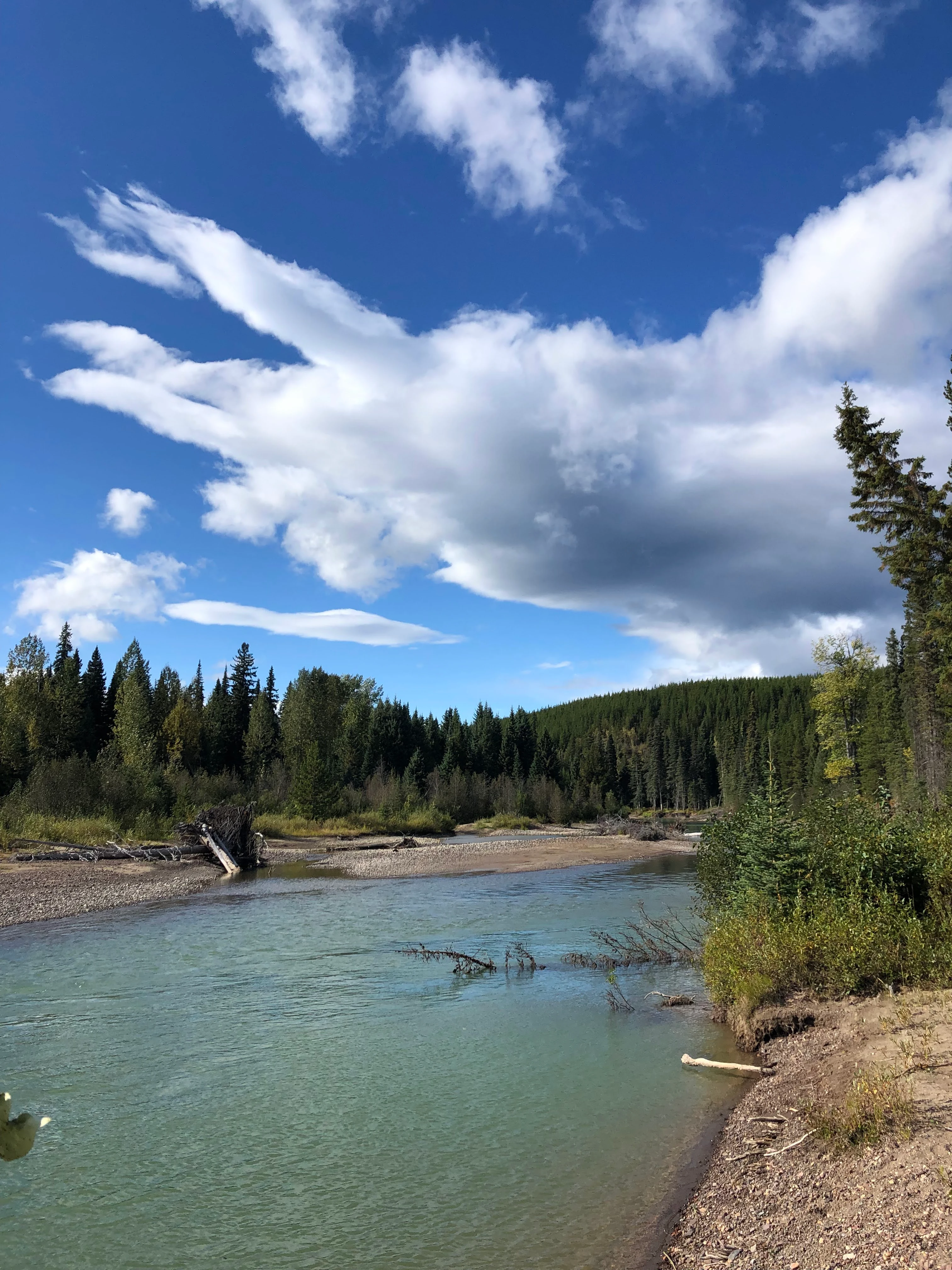 Photo: Recreation Sites and Trails BC. © Province of British Columbia, licensed under the Open Government Licence – British Columbia. Jonas Creek, photo 3