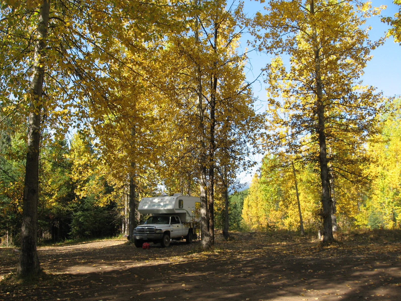 Photo: Recreation Sites and Trails BC. © Province of British Columbia, licensed under the Open Government Licence – British Columbia. Jonas Creek, photo 2