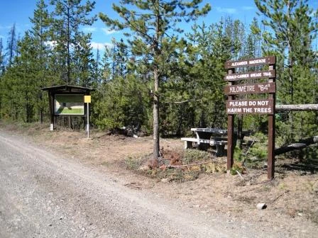 Photo: Recreation Sites and Trails BC. © Province of British Columbia, licensed under the Open Government Licence – British Columbia. Km 64 Alexander Mackenzie Heritage Trail