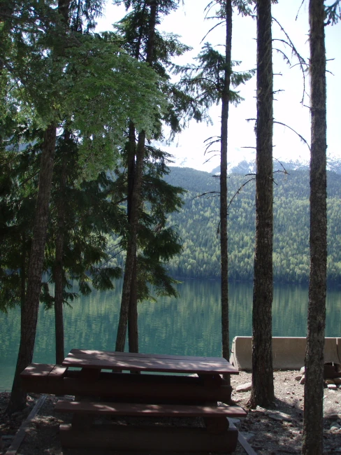 Photo: Recreation Sites and Trails BC. © Province of British Columbia, licensed under the Open Government Licence – British Columbia. Carnes Creek, photo 5