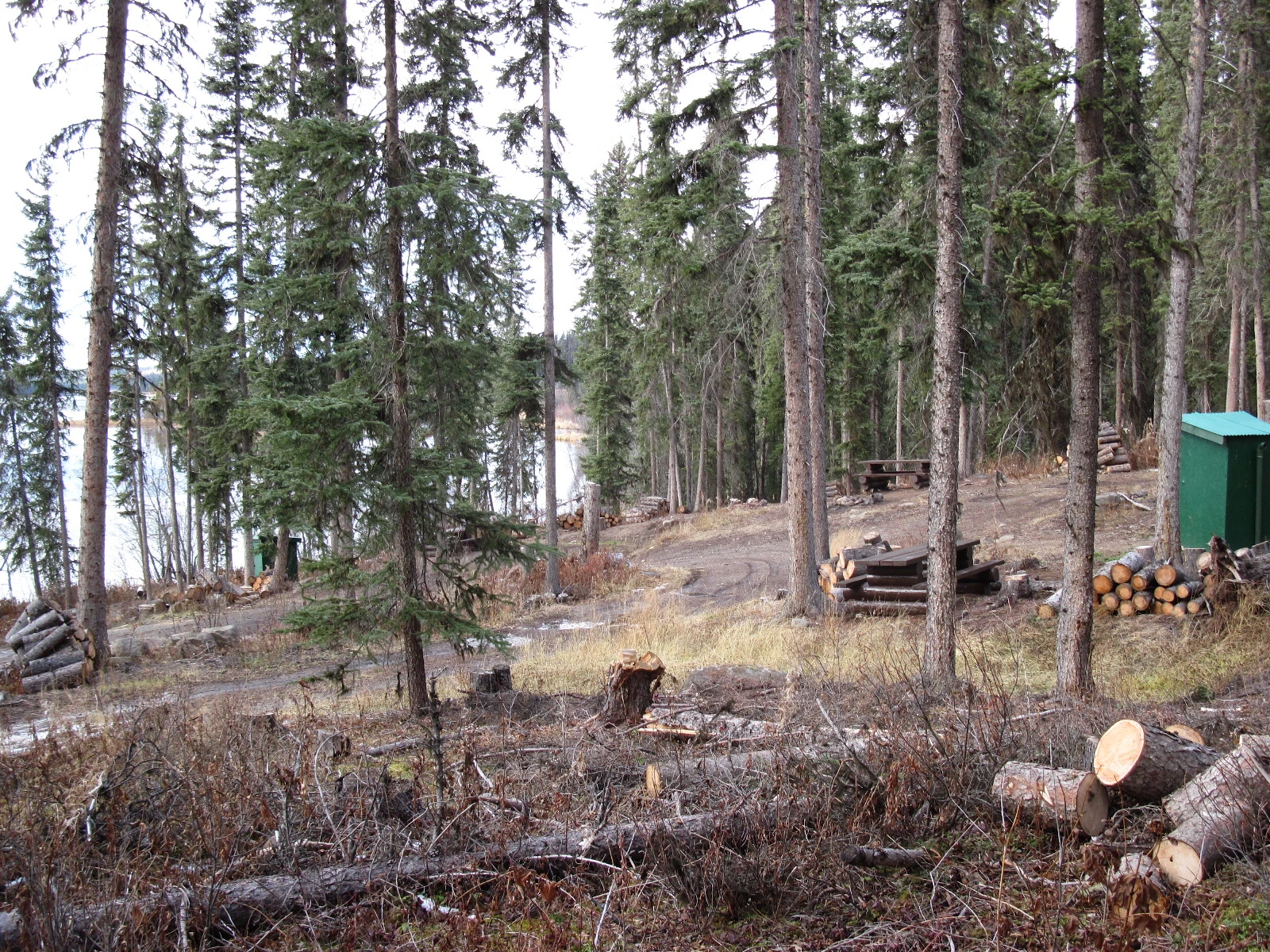 Photo: Recreation Sites and Trails BC. © Province of British Columbia, licensed under the Open Government Licence – British Columbia. Lavoie Lake