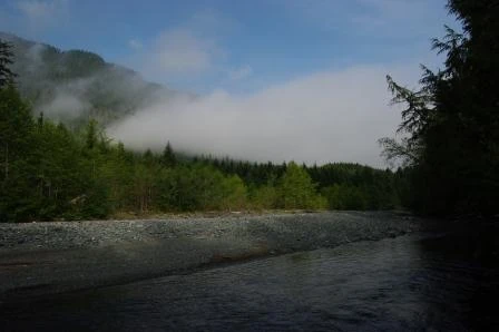 Photo: Recreation Sites and Trails BC. © Province of British Columbia, licensed under the Open Government Licence – British Columbia. Montague Creek, photo 5