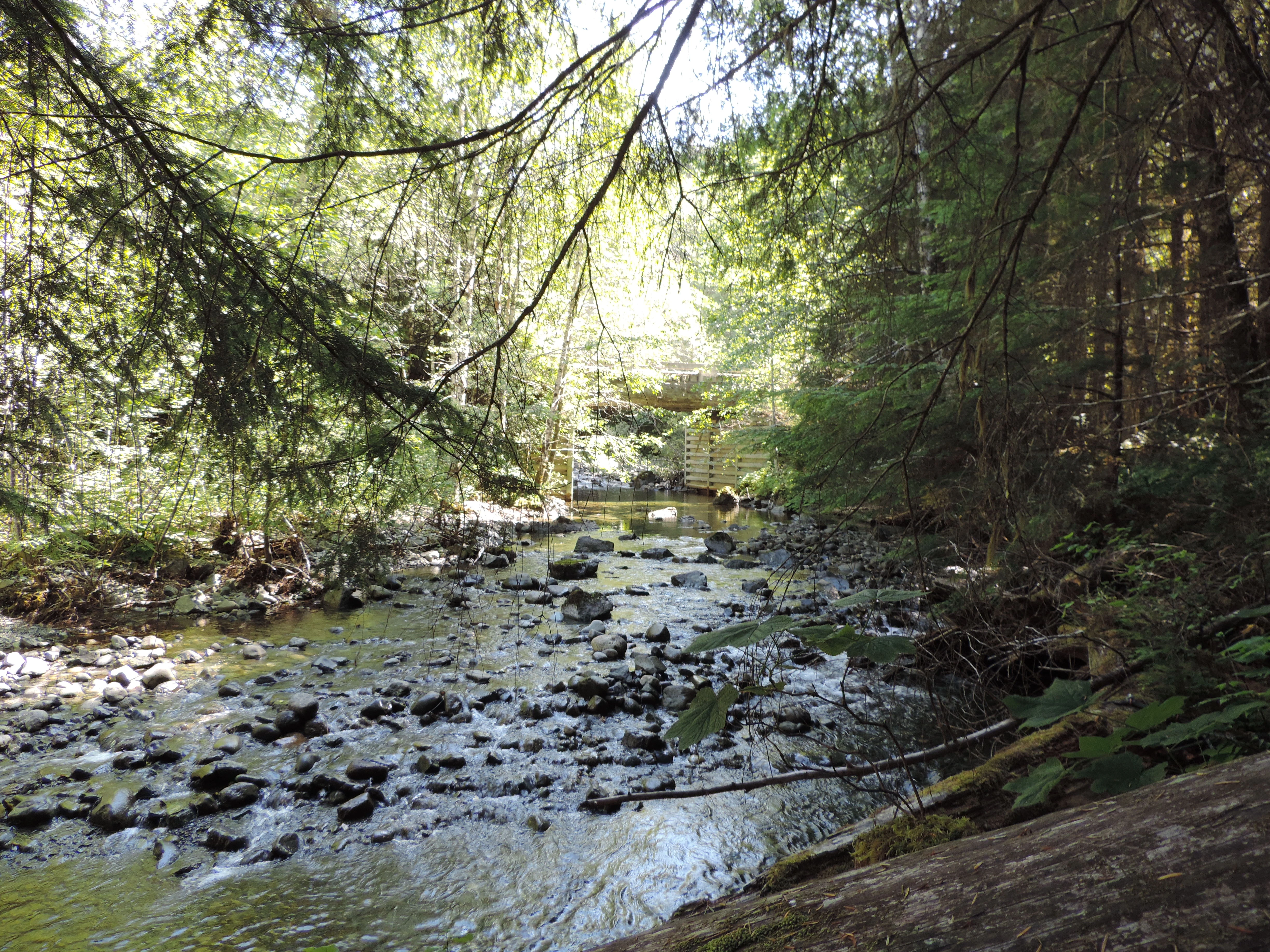 Photo: Recreation Sites and Trails BC. © Province of British Columbia, licensed under the Open Government Licence – British Columbia. Montague Creek, photo 2
