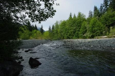 Photo: Recreation Sites and Trails BC. © Province of British Columbia, licensed under the Open Government Licence – British Columbia. Montague Creek, photo 4