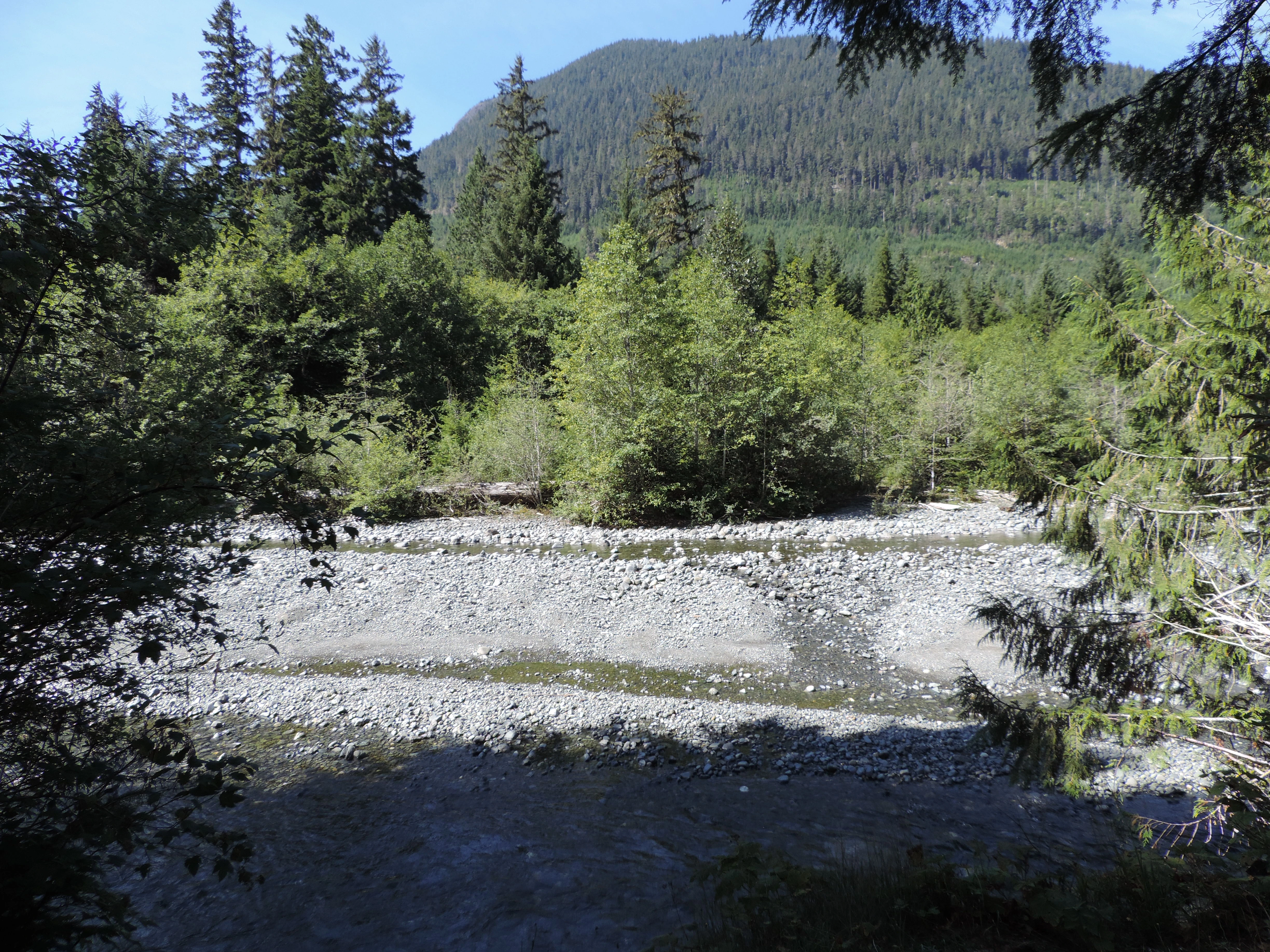 Photo: Recreation Sites and Trails BC. © Province of British Columbia, licensed under the Open Government Licence – British Columbia. Montague Creek