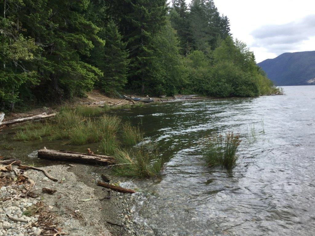 Photo: Recreation Sites and Trails BC. © Province of British Columbia, licensed under the Open Government Licence – British Columbia. Scout Beach, photo 4