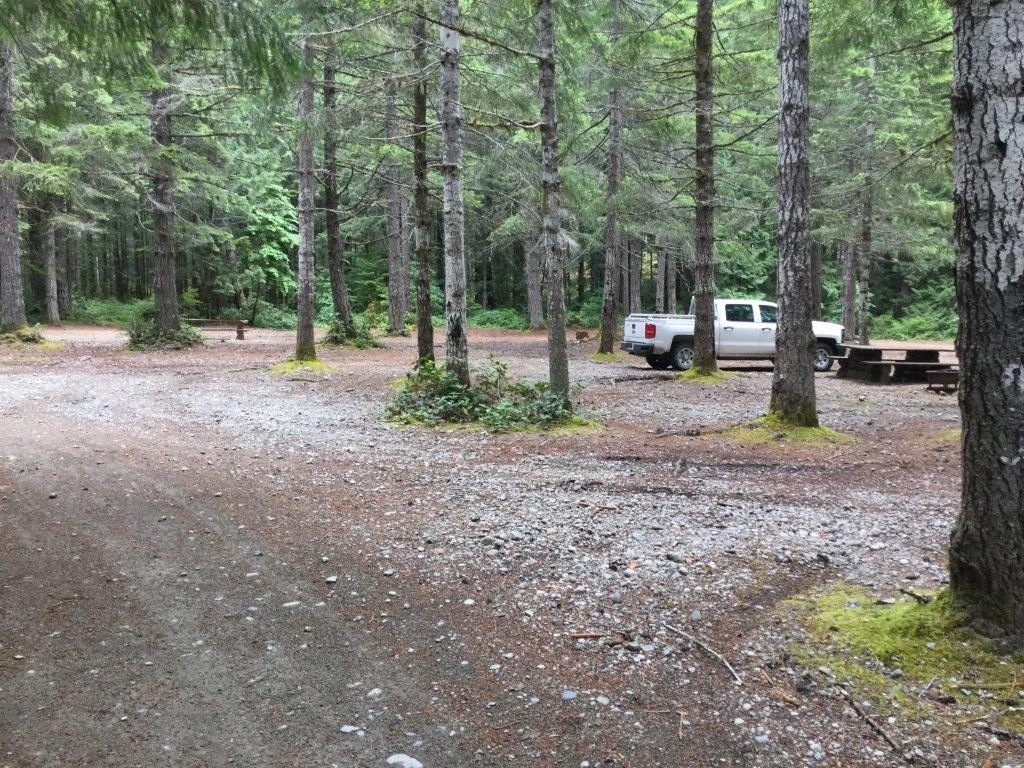 Photo: Recreation Sites and Trails BC. © Province of British Columbia, licensed under the Open Government Licence – British Columbia. Scout Beach, photo 3