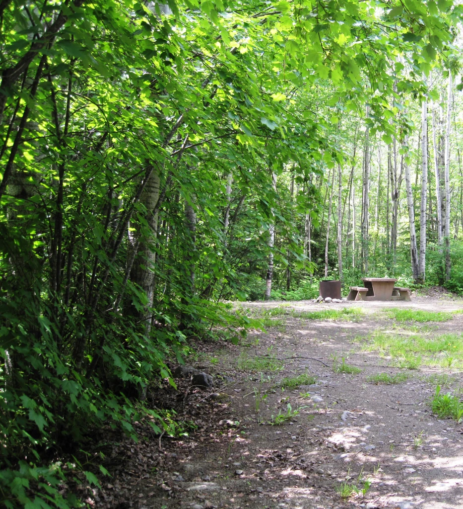 Photo: Recreation Sites and Trails BC. © Province of British Columbia, licensed under the Open Government Licence – British Columbia. Horse Creek Recreation Site, photo 4