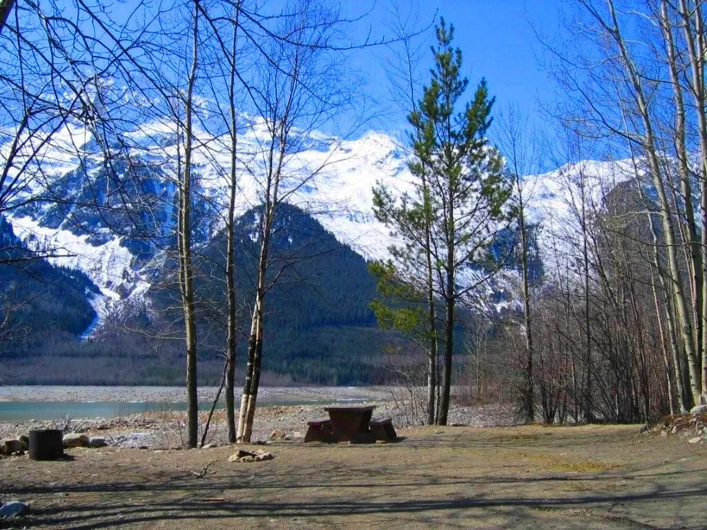 Photo: Recreation Sites and Trails BC. © Province of British Columbia, licensed under the Open Government Licence – British Columbia. Horse Creek Recreation Site, photo 2