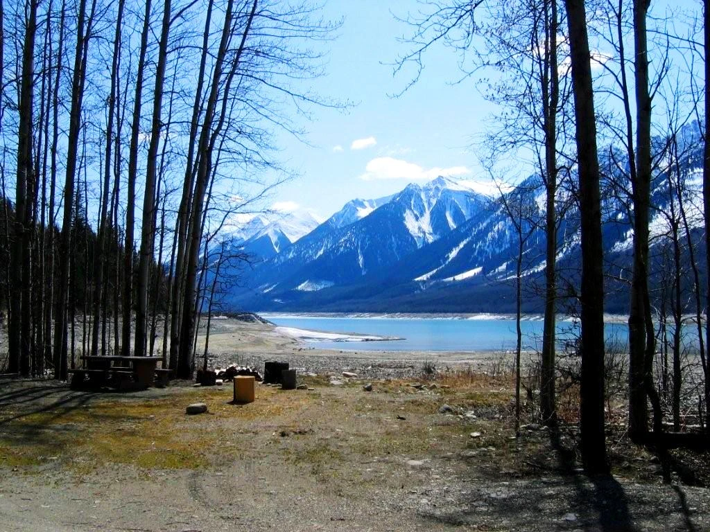 Photo: Recreation Sites and Trails BC. © Province of British Columbia, licensed under the Open Government Licence – British Columbia. Horse Creek Recreation Site, photo 3