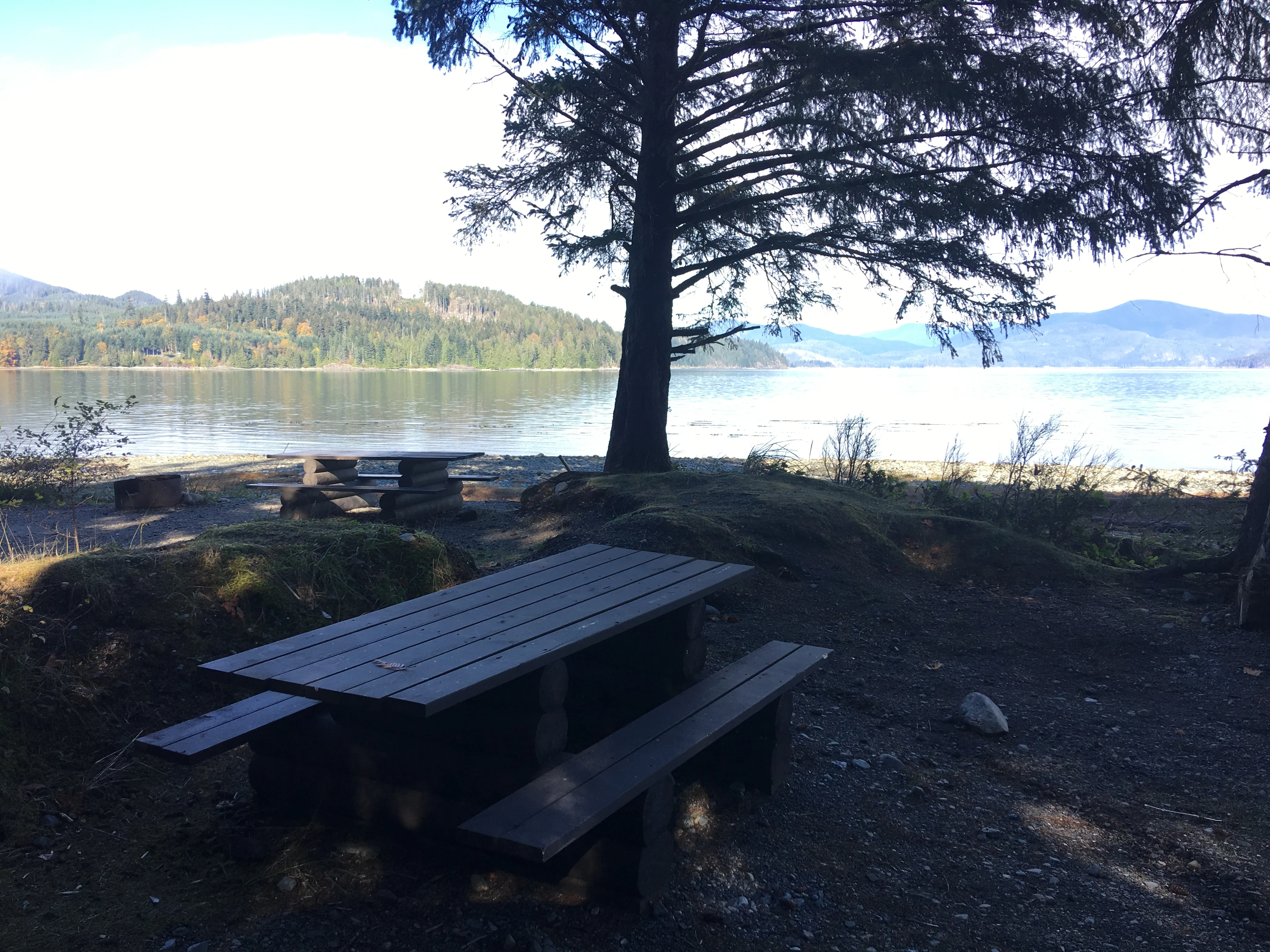 Photo: Recreation Sites and Trails BC. © Province of British Columbia, licensed under the Open Government Licence – British Columbia. Elk Bay, photo 4