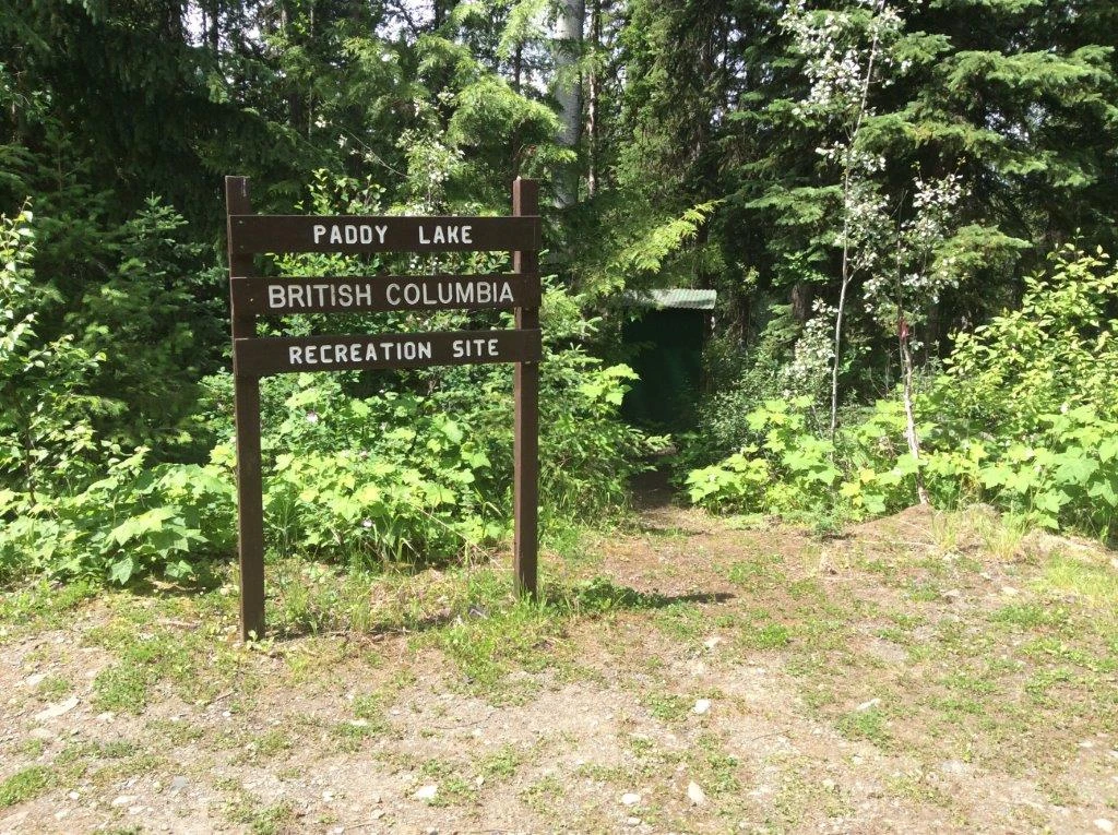 Photo: Recreation Sites and Trails BC. © Province of British Columbia, licensed under the Open Government Licence – British Columbia. Paddy Lake, photo 2
