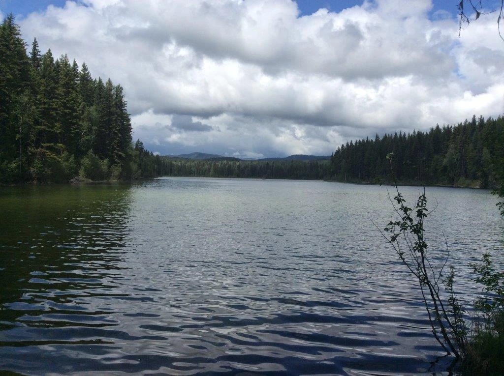 Photo: Recreation Sites and Trails BC. © Province of British Columbia, licensed under the Open Government Licence – British Columbia. Paddy Lake
