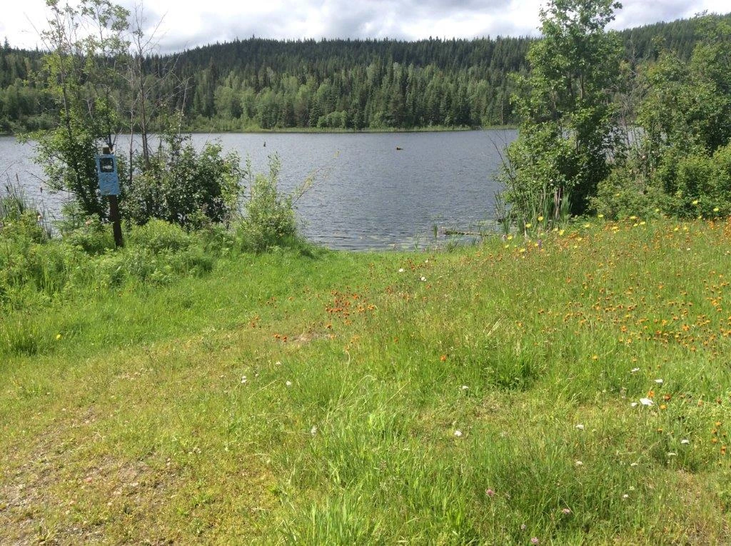 Photo: Recreation Sites and Trails BC. © Province of British Columbia, licensed under the Open Government Licence – British Columbia. Susan Lake, photo 2
