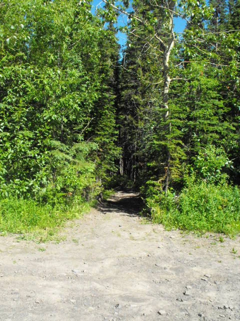 Photo: Recreation Sites and Trails BC. © Province of British Columbia, licensed under the Open Government Licence – British Columbia. Boulder Lake, photo 6
