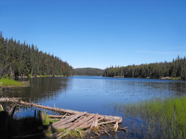 Photo: Recreation Sites and Trails BC. © Province of British Columbia, licensed under the Open Government Licence – British Columbia. Boulder Lake, photo 10