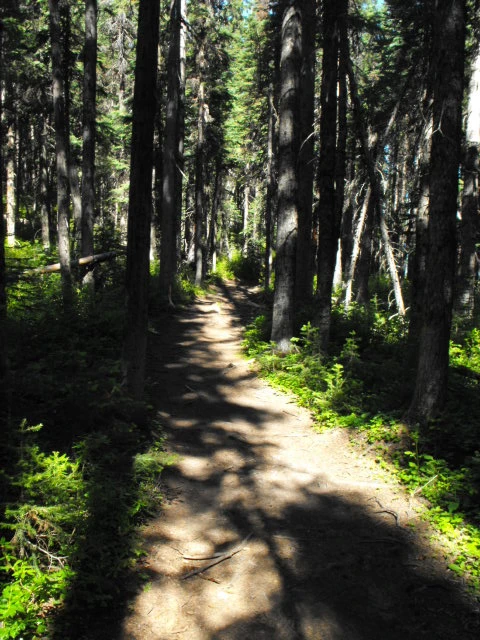 Photo: Recreation Sites and Trails BC. © Province of British Columbia, licensed under the Open Government Licence – British Columbia. Boulder Lake, photo 7