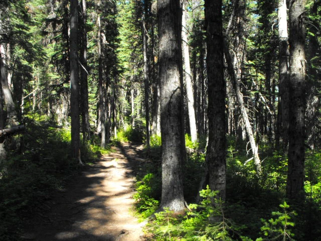 Photo: Recreation Sites and Trails BC. © Province of British Columbia, licensed under the Open Government Licence – British Columbia. Boulder Lake, photo 8