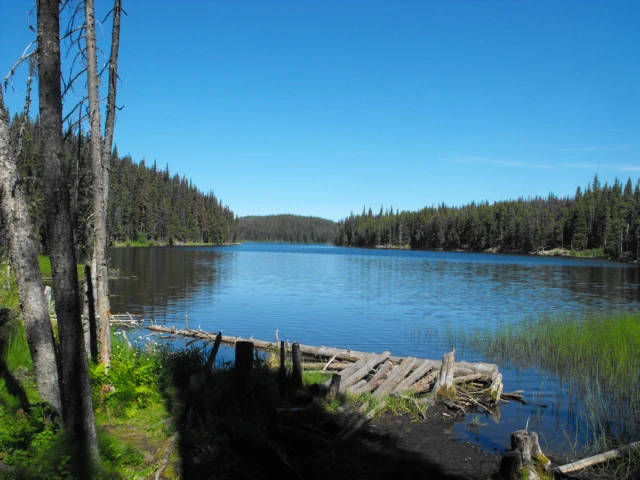 Photo: Recreation Sites and Trails BC. © Province of British Columbia, licensed under the Open Government Licence – British Columbia. Boulder Lake, photo 9