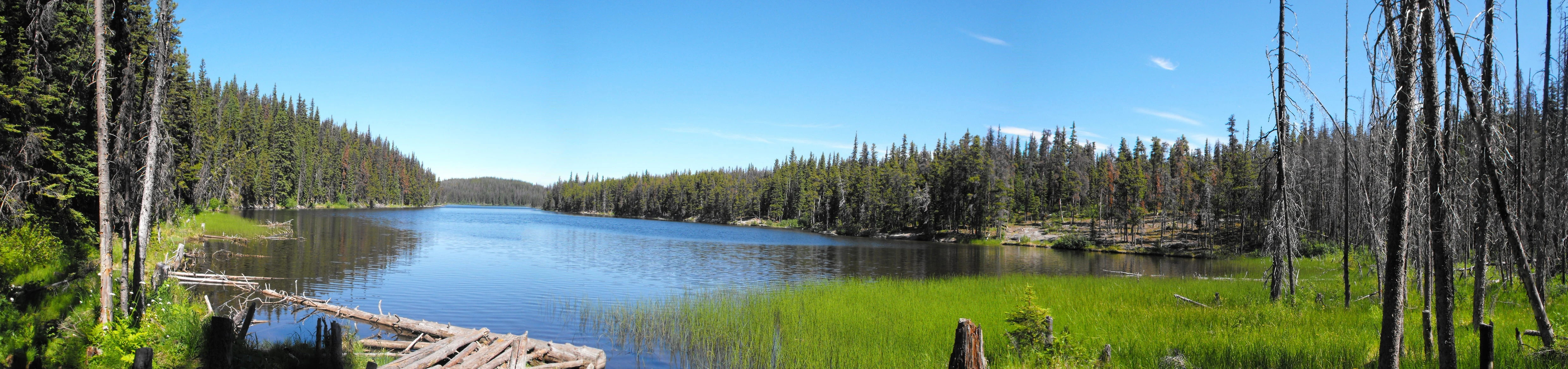 Photo: Recreation Sites and Trails BC. © Province of British Columbia, licensed under the Open Government Licence – British Columbia. Boulder Lake, photo 11
