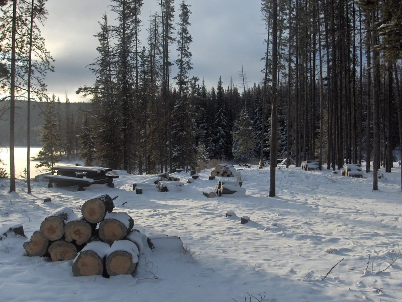 Photo: Recreation Sites and Trails BC. © Province of British Columbia, licensed under the Open Government Licence – British Columbia. Buck Lake