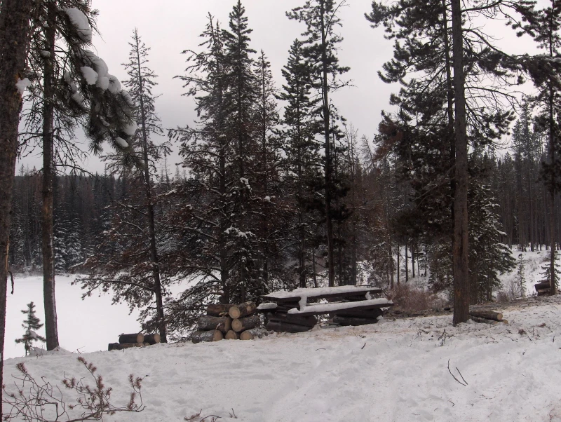 Photo: Recreation Sites and Trails BC. © Province of British Columbia, licensed under the Open Government Licence – British Columbia. Buck Lake, photo 2