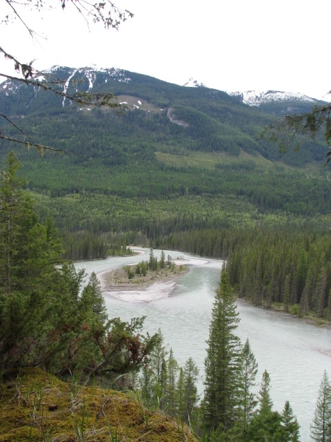 Photo: Recreation Sites and Trails BC. © Province of British Columbia, licensed under the Open Government Licence – British Columbia. Kootenay-White Junction, photo 3