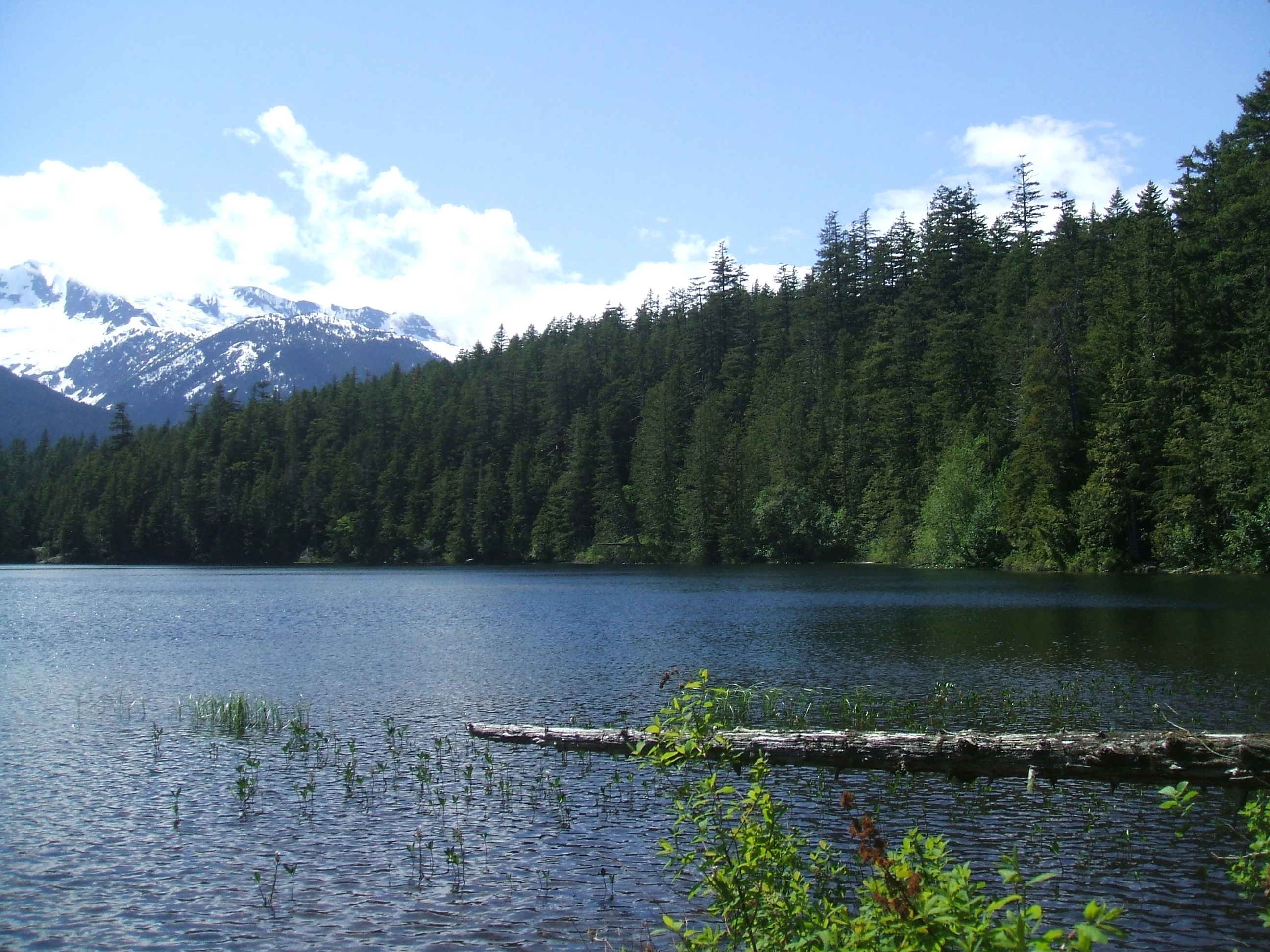 Photo: Recreation Sites and Trails BC. © Province of British Columbia, licensed under the Open Government Licence – British Columbia. Levette Lake, photo 3