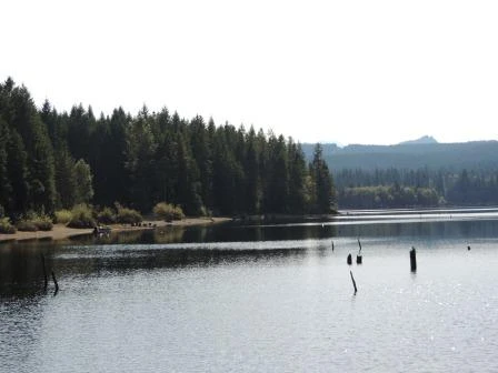 Photo: Recreation Sites and Trails BC. © Province of British Columbia, licensed under the Open Government Licence – British Columbia. Fry Peninsula, photo 4