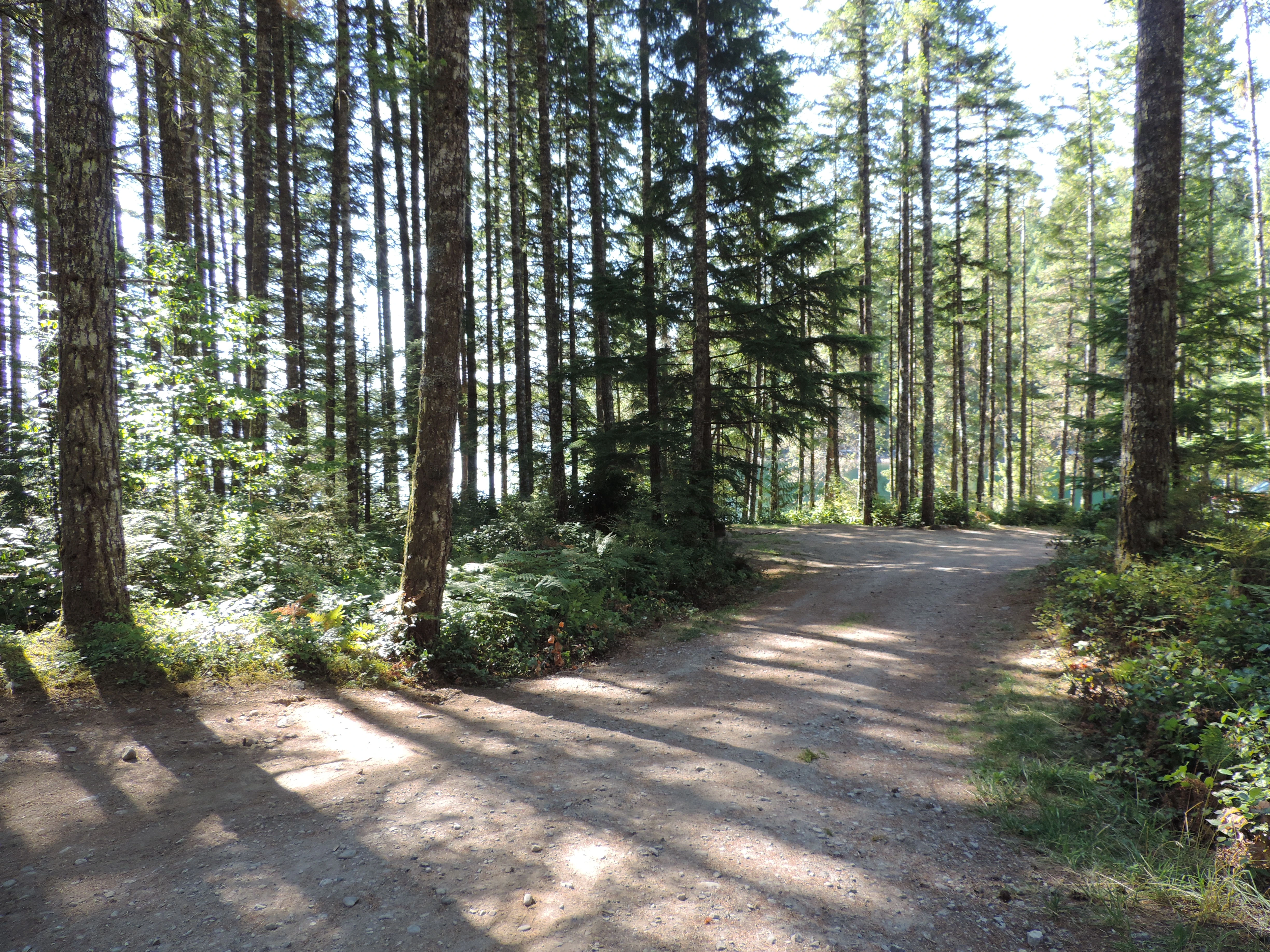 Photo: Recreation Sites and Trails BC. © Province of British Columbia, licensed under the Open Government Licence – British Columbia. Burnt Beach, photo 3
