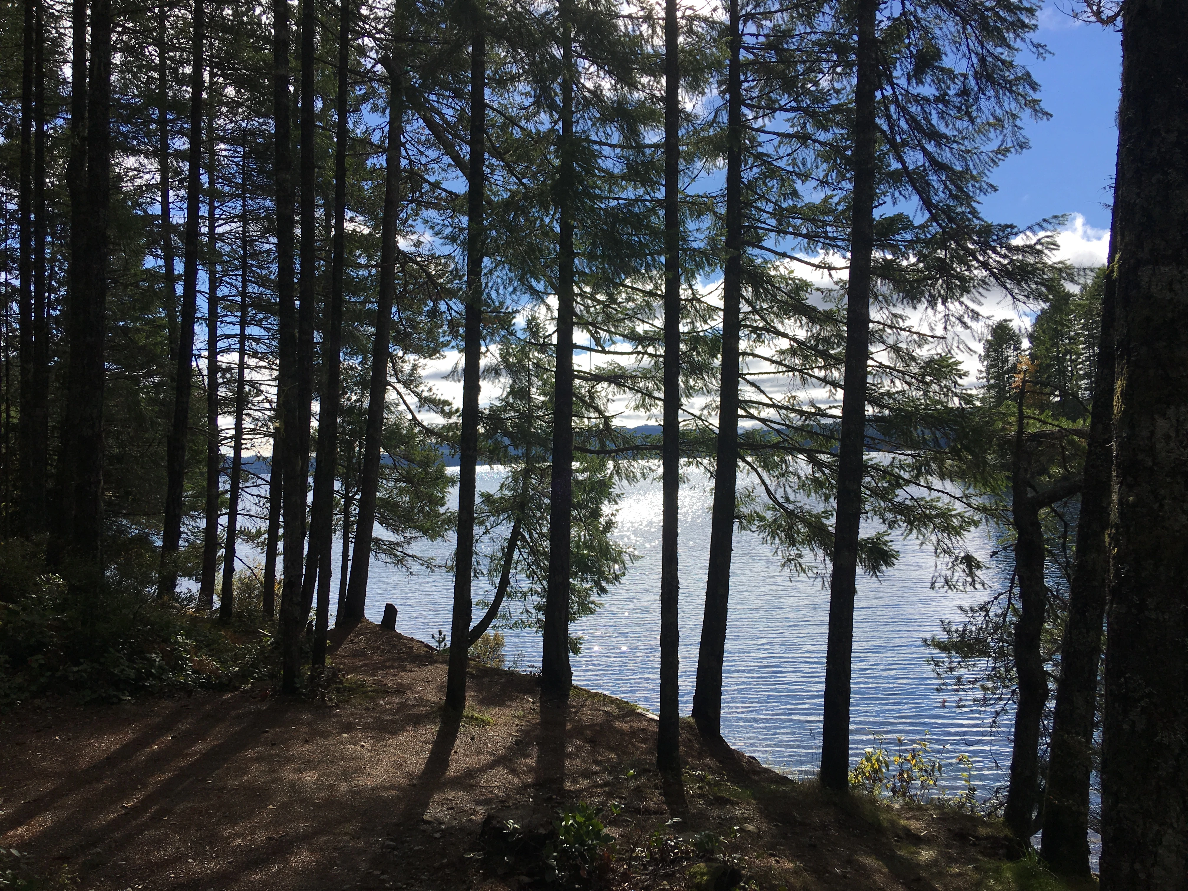 Photo: Recreation Sites and Trails BC. © Province of British Columbia, licensed under the Open Government Licence – British Columbia. Burnt Beach, photo 8