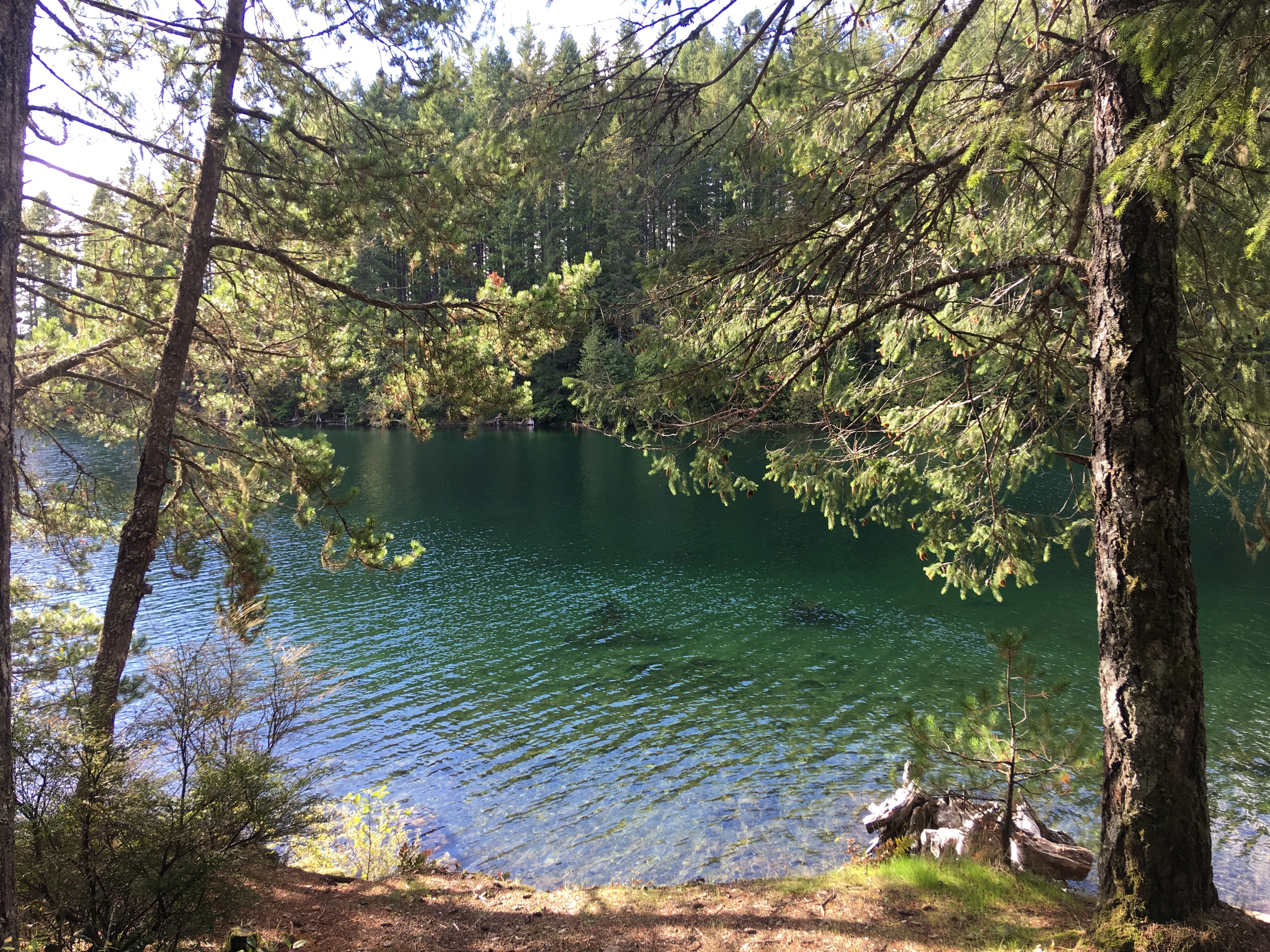 Photo: Recreation Sites and Trails BC. © Province of British Columbia, licensed under the Open Government Licence – British Columbia. Burnt Beach, photo 7