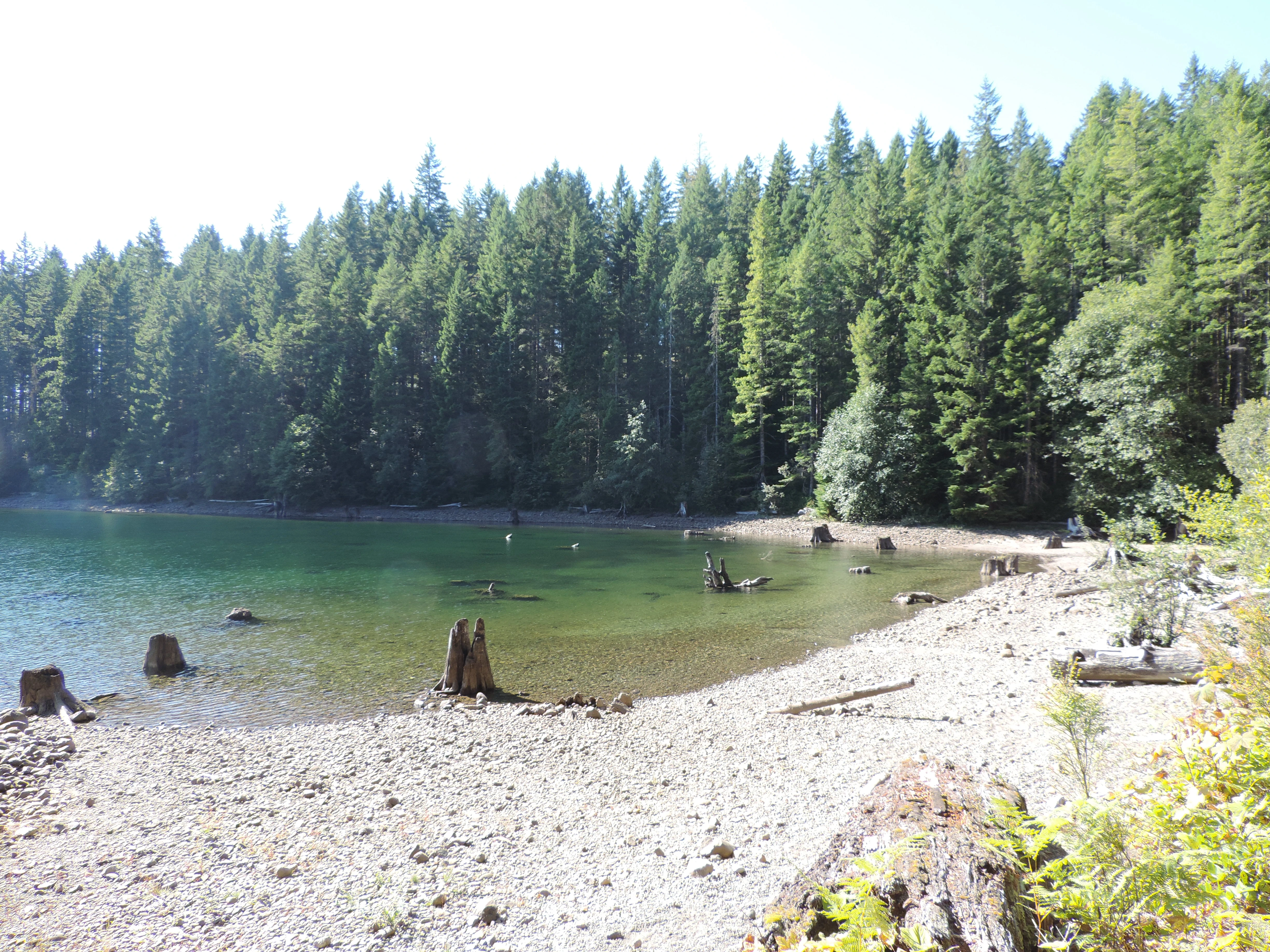 Photo: Recreation Sites and Trails BC. © Province of British Columbia, licensed under the Open Government Licence – British Columbia. Burnt Beach, photo 5